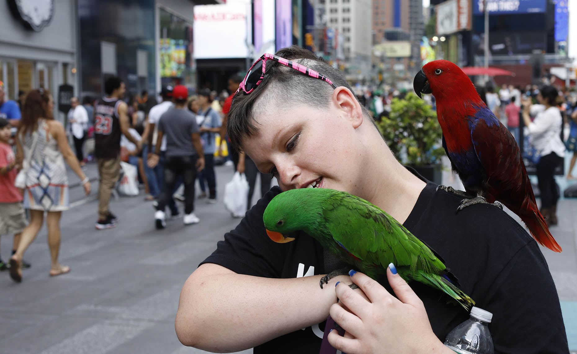 Woman with Parrots in Times Square